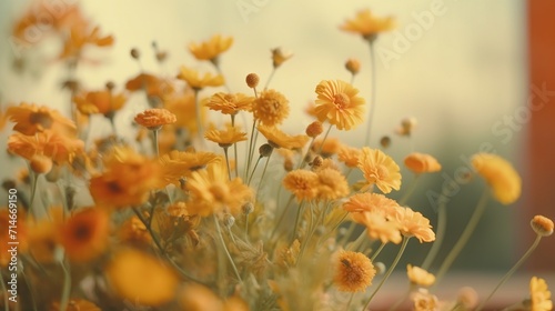 Autumn Yellow soft color flowers in the garden © Sanuar_husen