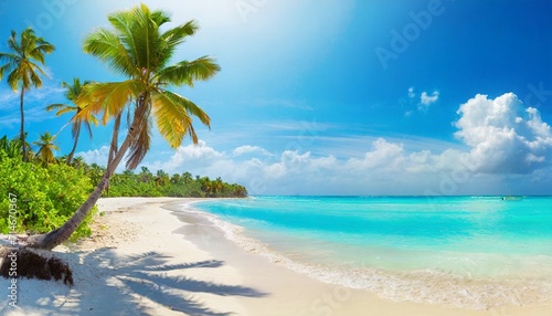 sunny tropical beach panorama turquoise caribbean sea with palm trees © Lucia