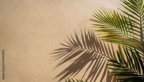 abstract background with tropical palm leaves shadow on beige wall creative minimal design with copy space summer concept flat lay