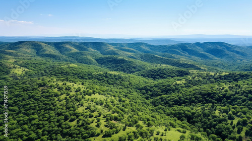 tea plantations high definition photographic creative image