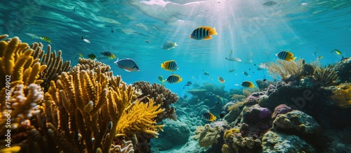 Visitors in Los Organos can explore diverse marine life and coral reefs through eco-tourism activities like snorkeling and scuba diving.