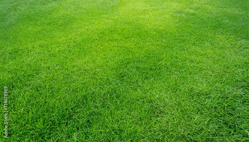 grass field background green grass green background