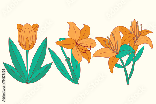 Illustration of orange flowers