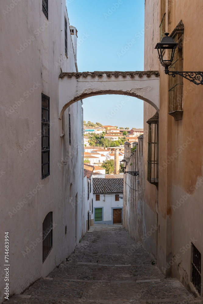 Una calle empinada estrecha y con pequeño arco en la villa de Jerez de los Caballeros, Extremadura, España