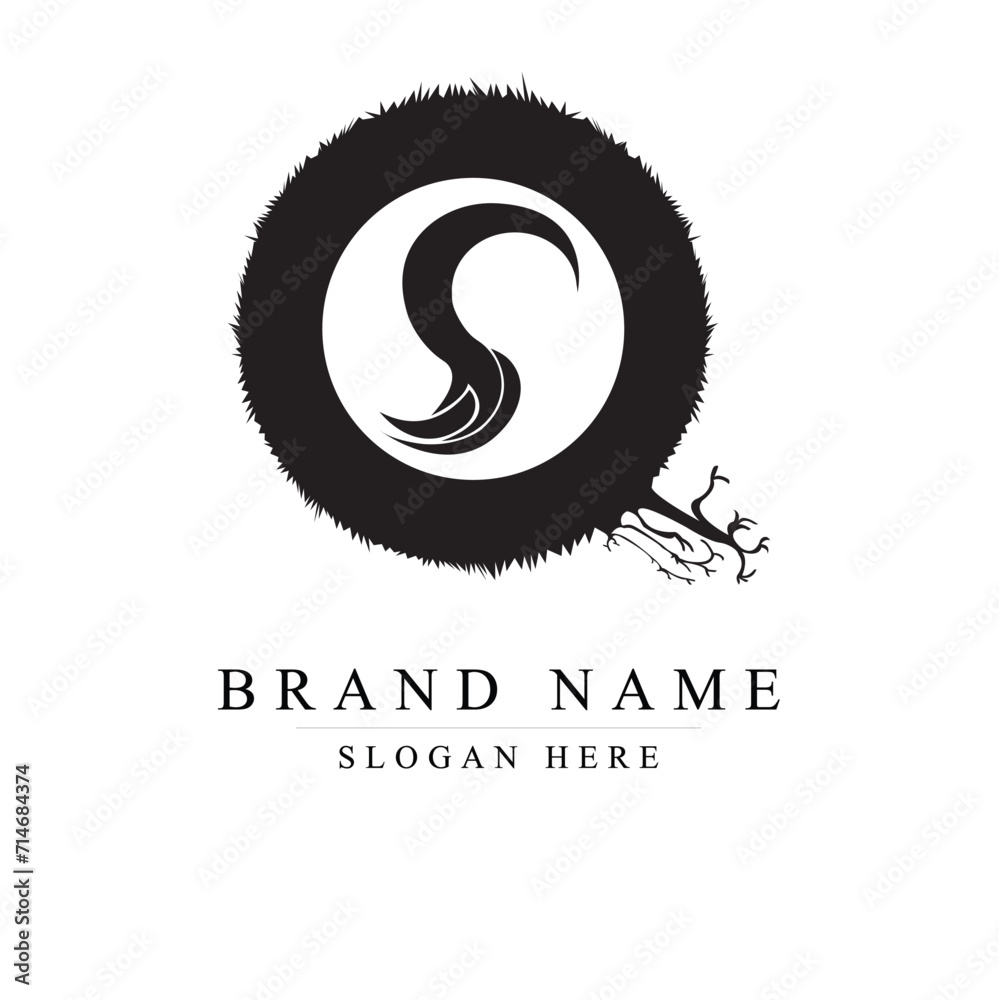 Fototapeta premium QS letter logo vector icon illustration 