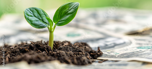 Vibrant Young Plant Growing in Isolated White Environment with Soil, Leaves, and Sprouts, Symbolizing Nature's Life and Growth in Agriculture and Gardening