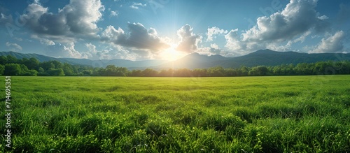 Beautiful spring landscape green meadow at sunrise #714695351