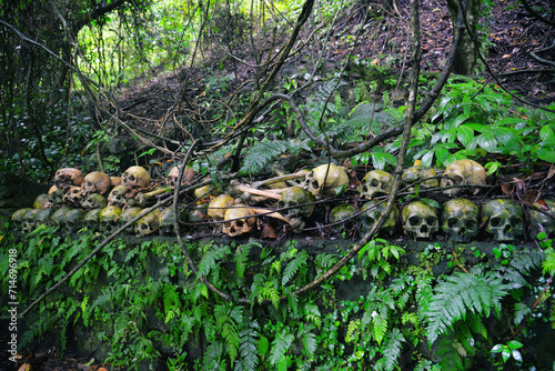 Fototapeta Naklejka Na Ścianę i Meble -  Human skulls covered with moss