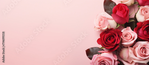 Copy space roses flowers colorful background.