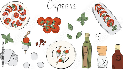 Graphic tomatoes and olives hand drawn vector illustration. Ingredients for Italian restaurant or mediterranean food. Caprese salad with food elements clip art in color. Delicious Italian appetizer 