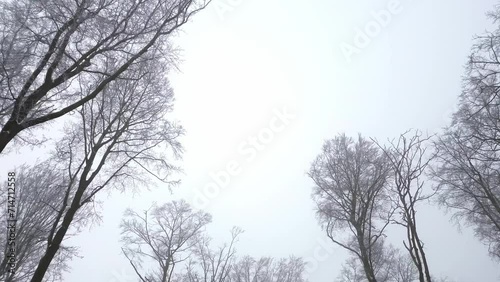 Crash mit der Drohne im verschneiten Winterwald