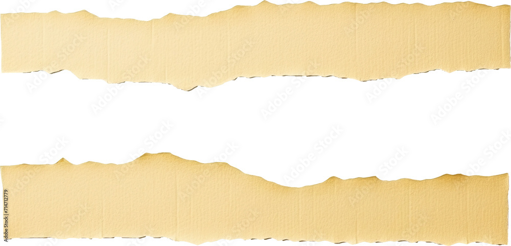Fototapeta premium Torn paper isolated on transparent background. PNG