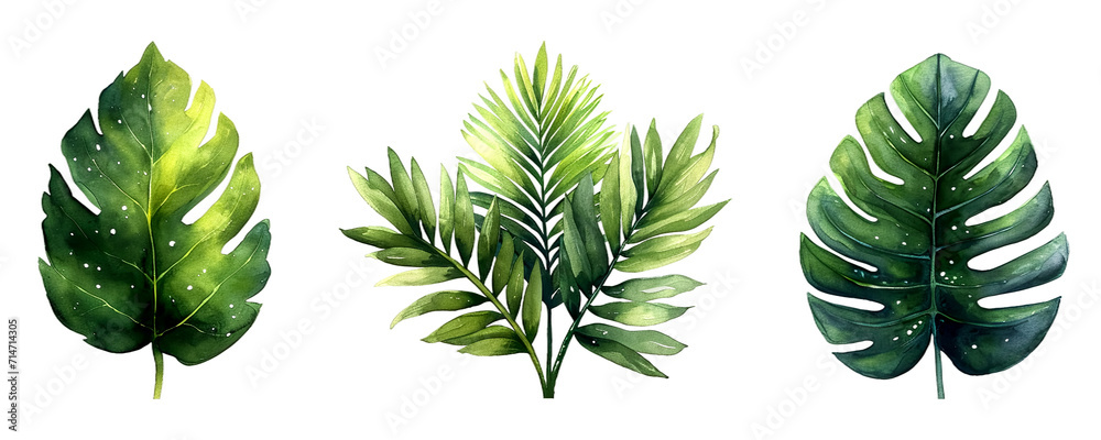 Set of vibrant green tropical leaves, each with unique shapes and patterns, illustrated on a white background - obrazy, fototapety, plakaty 