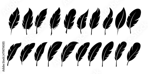 Set of Bird Feather. Feathers vector set in a flat style. Pen icon. Black quill feather silhouette. Plumelet collection isolated photo