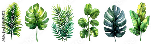 Watercolor painting of seven diverse, vibrant tropical leaves, illustrated on a white background