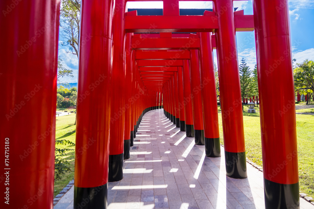 Chiang Mai, Thailand - January,06, 2024: Torii Gate replica in Hinoki Land new landmark travel place at Chiang Mai, Thailand. Chiang Mai, Thailand - January,06, 2024: Torii Gate replica in Hinoki Land new landmark travel place at Chiang Mai, Thailand.