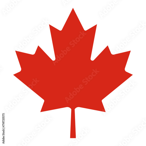 Maple leaf icon. Canada symbol. Vector illustration isolated on white background photo