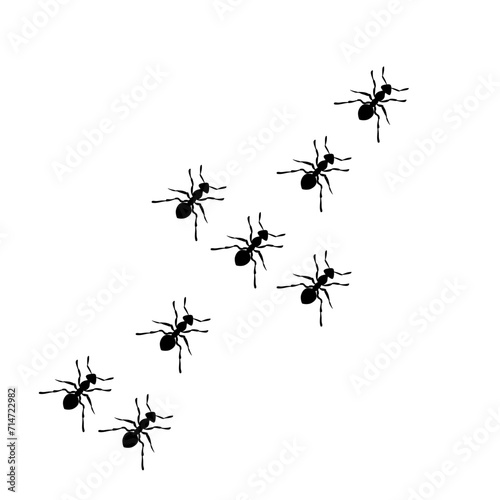 Ant Colony Illustration © Slonong