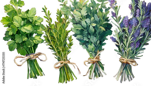 Painting of Bunches of Culinary Herbs on a Wooden Table, Parsley, Sage, Rosemary and Thyme, Vibrant Botanical Illustration, White Background photo
