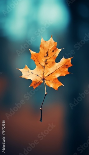 4K Colorful leaf AMOLED Wallpaper for Mobile