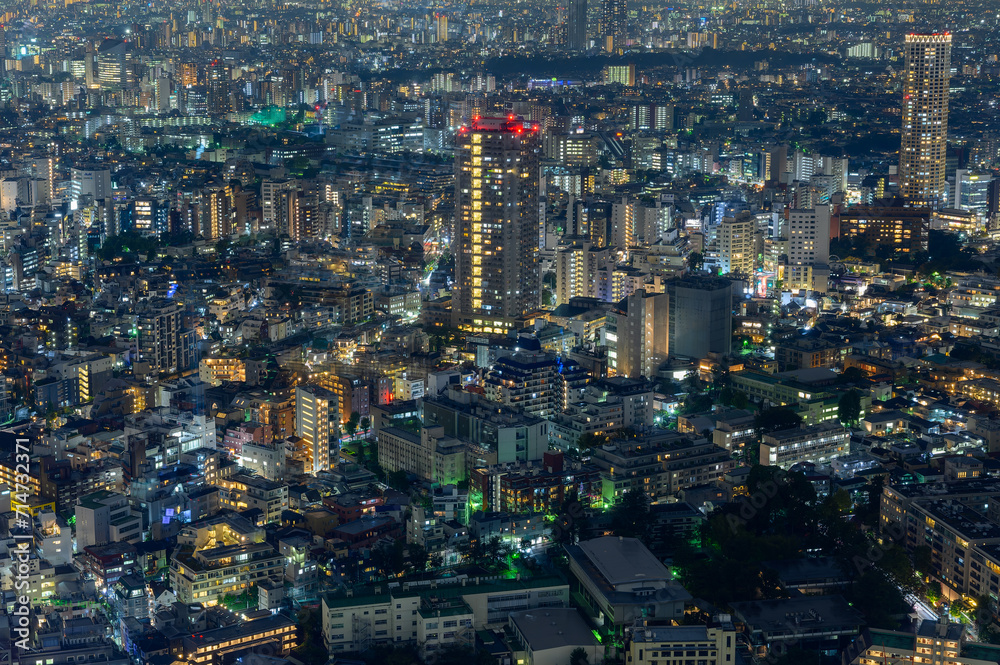 Fototapeta premium 渋谷skyから観た夜景