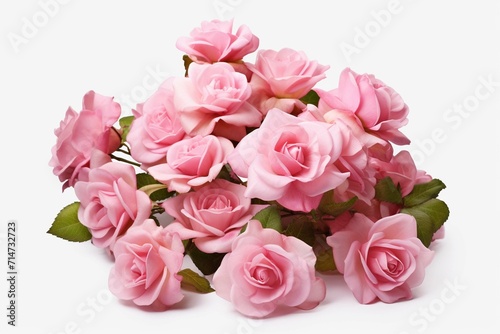 pink roses bouquet © Alizeh