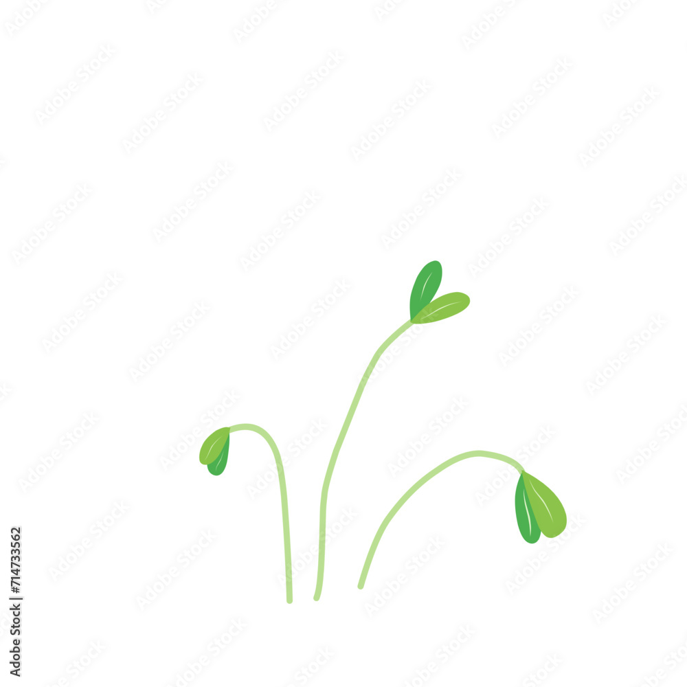 Fototapeta premium Microgreen plants Illustration 