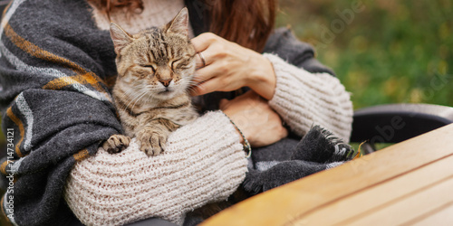 Portrait of a beautiful gray cat sitting in the arms of woman owner in a warm sweater photo