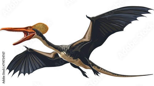 Clipart vector illustration of a flying dinosaur, Pterodactyl. photo