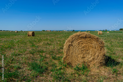 Bale of hay in field