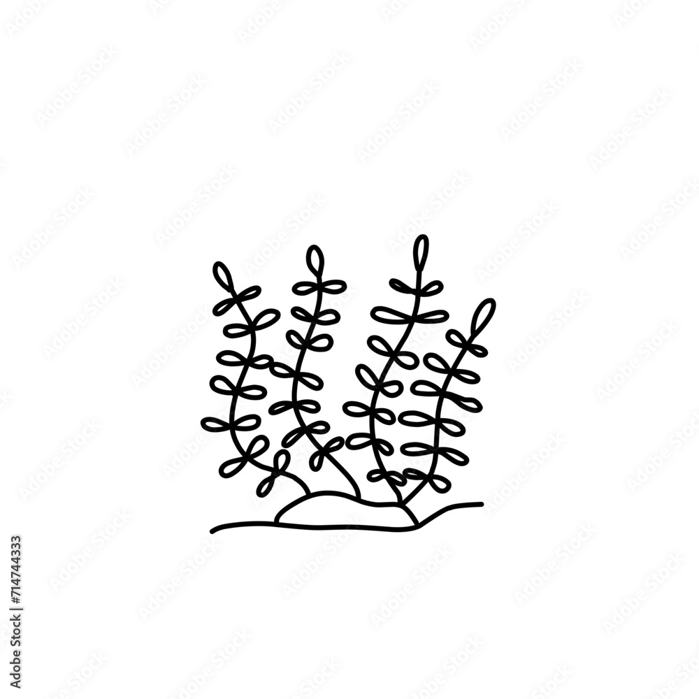 Hand Drawn Seaweed Doodle 
