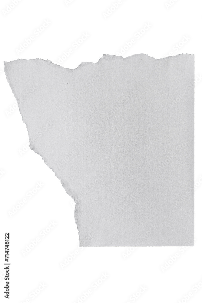 Isolated Ripped Paper Elements graphicsFileTypes PNG