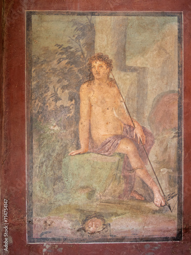 Narcissus frescco from the Epirus of the House of Octavius Quartio, Pompeii
