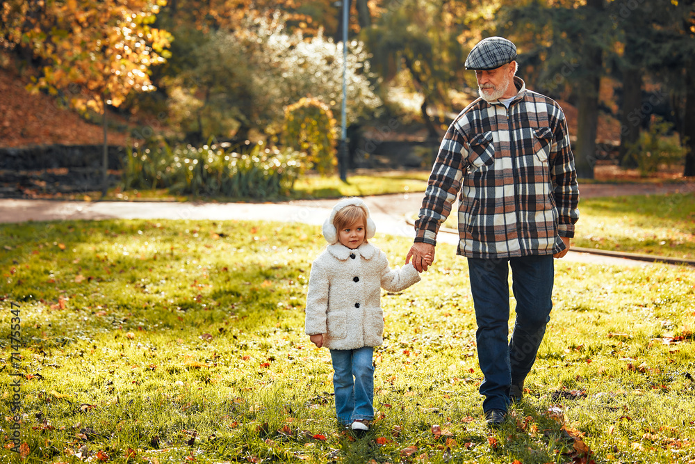 Fototapeta premium Senior couple walking in the park in autumn