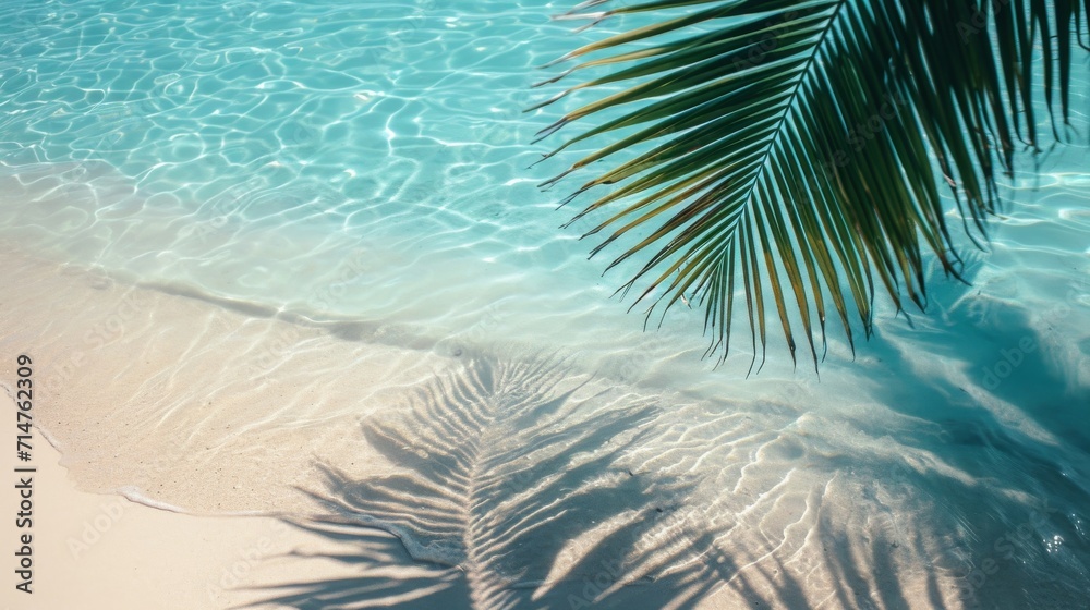 top view of water surface with tropical leaf shadow. Shadow of palm leaves on white sand beach. Beautiful abstract background concept banner for summer vacation at the beach