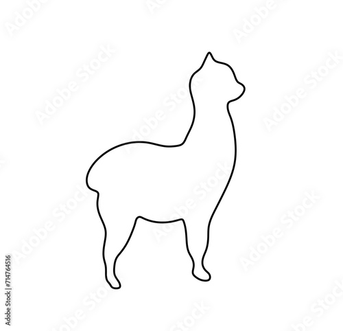 Vector isolated one single standing lama alpaca side view profile colorless black and white contour line easy drawing