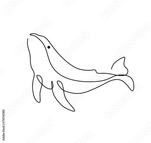 Vector isolated one single contemporary line whale dolphin killer whale colorless black and white contour line easy drawing