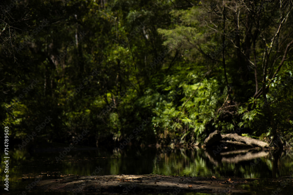 reflective lake in australian bushland with trees surrounding reflective lake in australian bushland with trees surrounding
