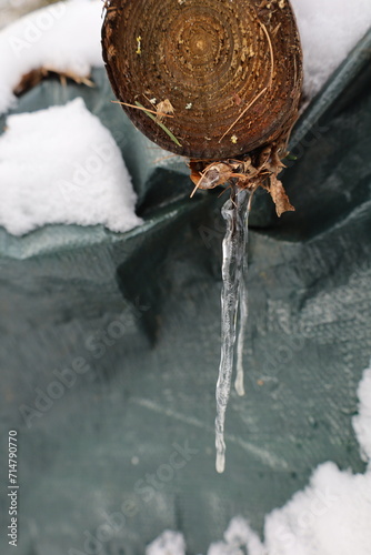 icicle hanging on a log
