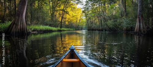 Canoeing through pretty river in Cypress Forest.