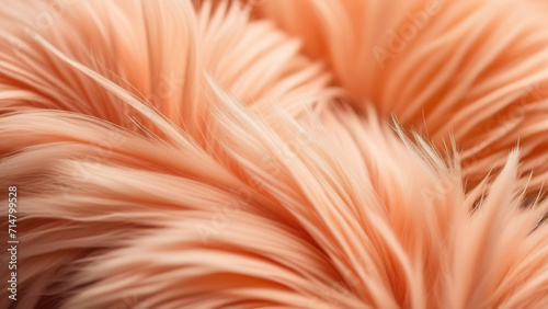 Close up fluffy fur peach fuzz color
