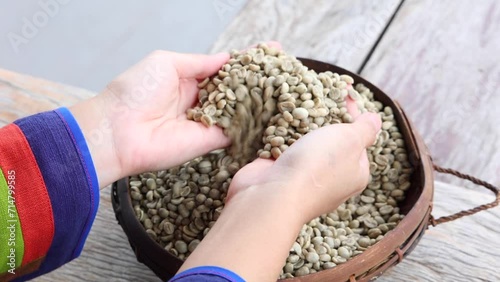 Farmer's hands holding coffee beans, agricultural concept and the dry coffee industry of Thai farmers.