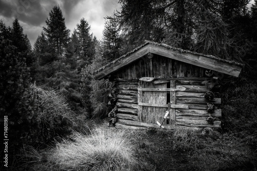 Mountain hut from Austria © Tom Pavlasek
