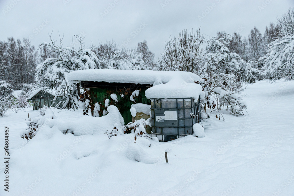 custom made wallpaper toronto digitalgarden in winter, covered with snow, fruit trees, garden house and garden accessories
