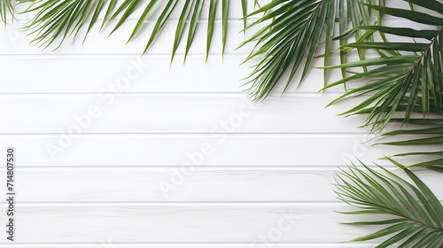 fresh palm leaves border on white wooden background. summer flat lay.