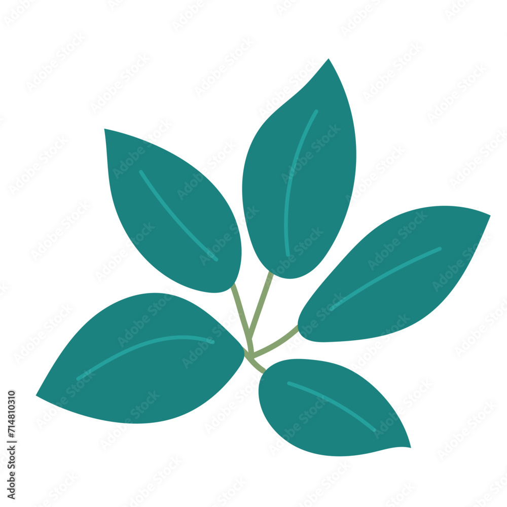 Leaf plant element for beautiful design. Simple form. Vector drawing. Leaf plant element for beautiful design. Simple form. Vector drawing.