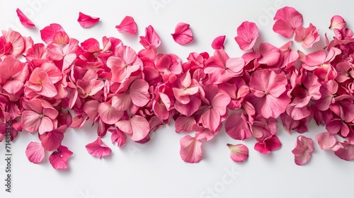 Parisian Vibes  Bright Pink Flower Petals on White Background AI Generated