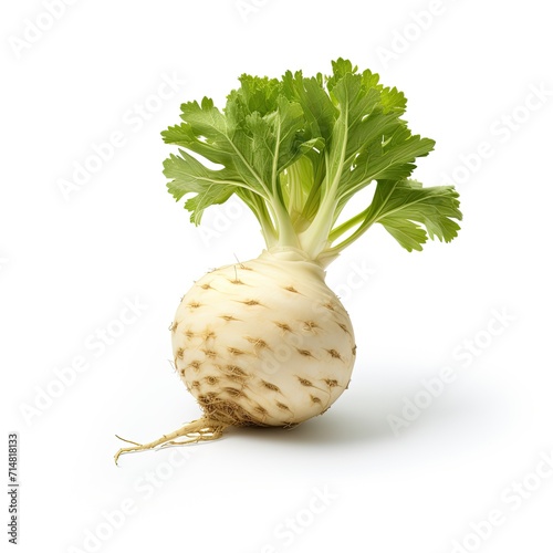 Celeriac isolated on white background, Fresh celeriac root