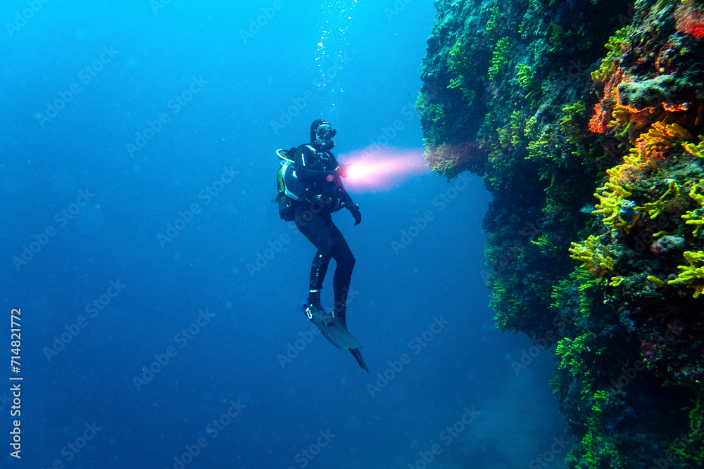 diver on rocks