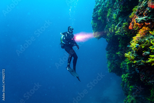 diver on rocks